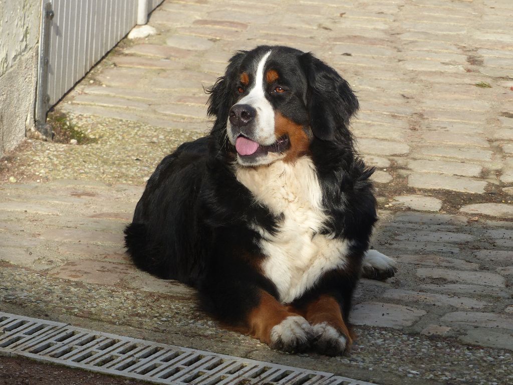 Jebel opale du roi des lacs