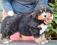 PEPPER DU ROI DES LACS (NC)